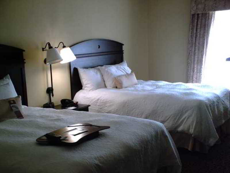Hampton Inn וידליה חדר תמונה